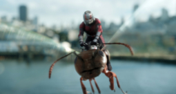 Ant-Man i Osa - zdjęcie 17